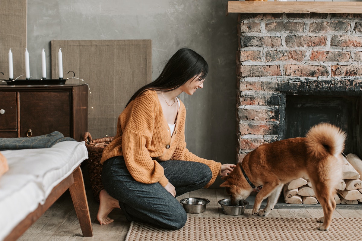 Woman in orange cardigan feeding dog by fireplace