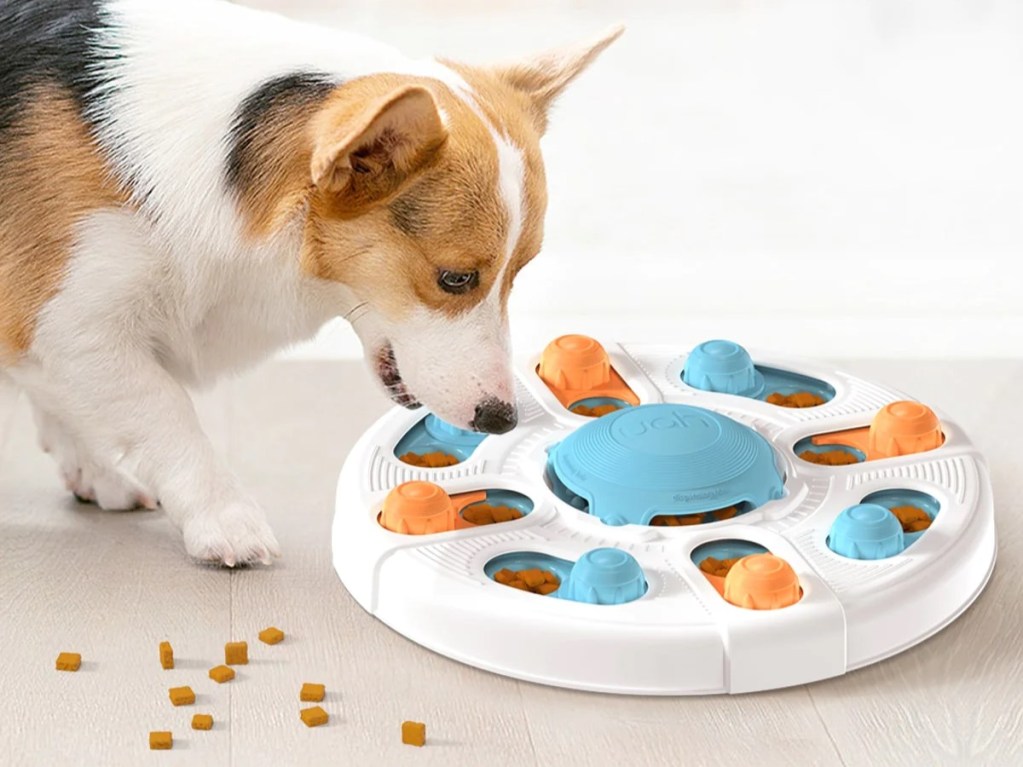 Uahpet 2 in 1 treat dispenser with dog eating in home.