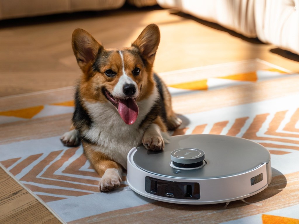 ECOVACS DEEBOT T20 OMNI with dog chillin