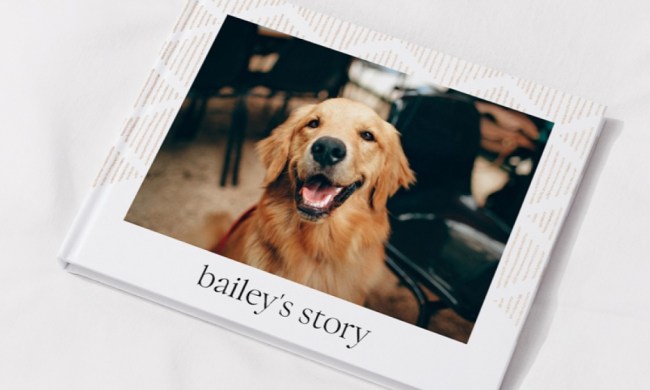 Mixbook Bailey's Story example of hardcover photo book