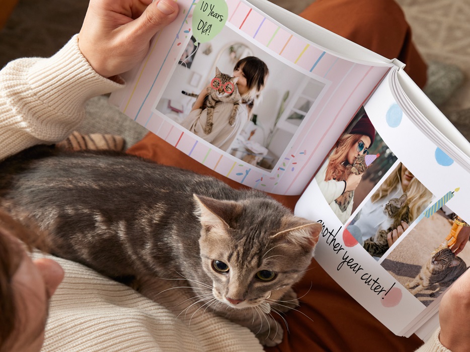 Mixbook hardcover photo book for pet cat.