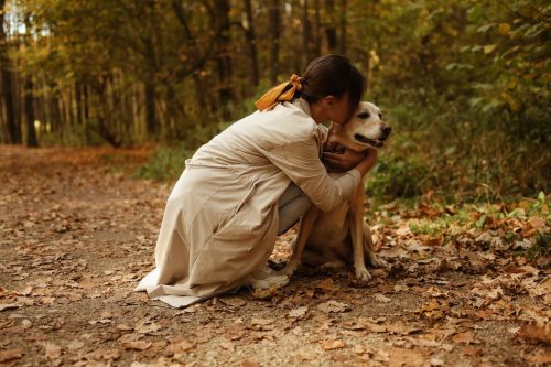 a dog and woman cuddling on fall woodland walk