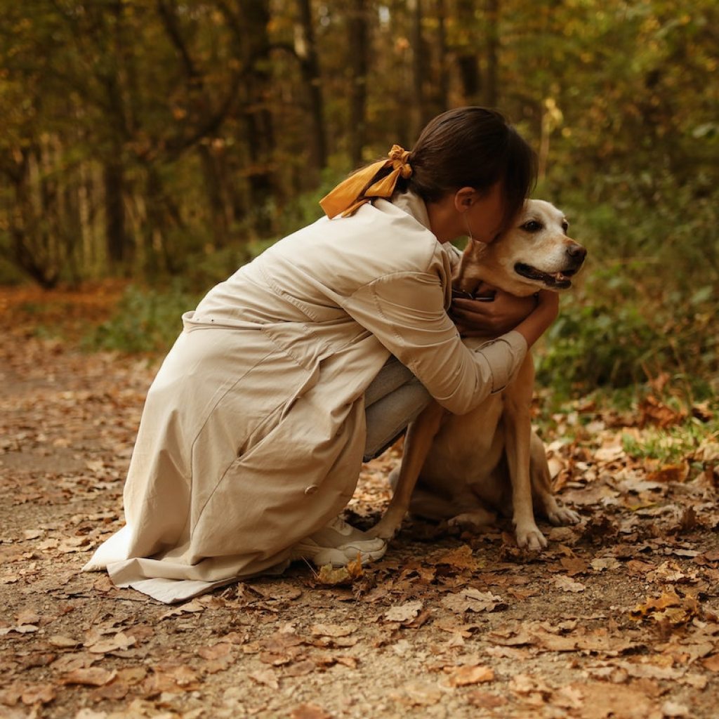 a dog and woman cuddling on fall woodland walk