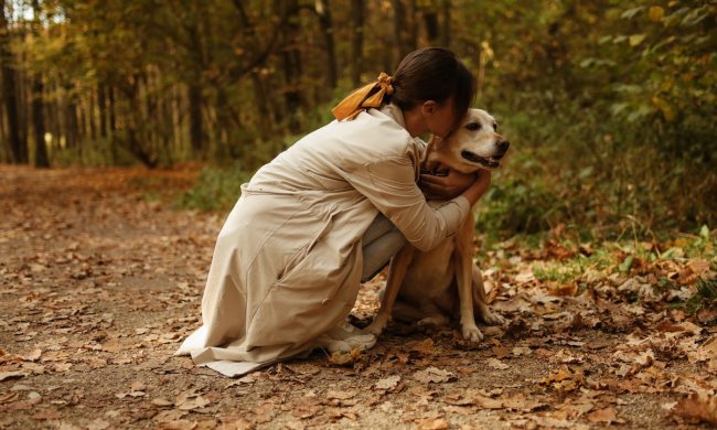 a dog and woman cuddling on fall woodland walk