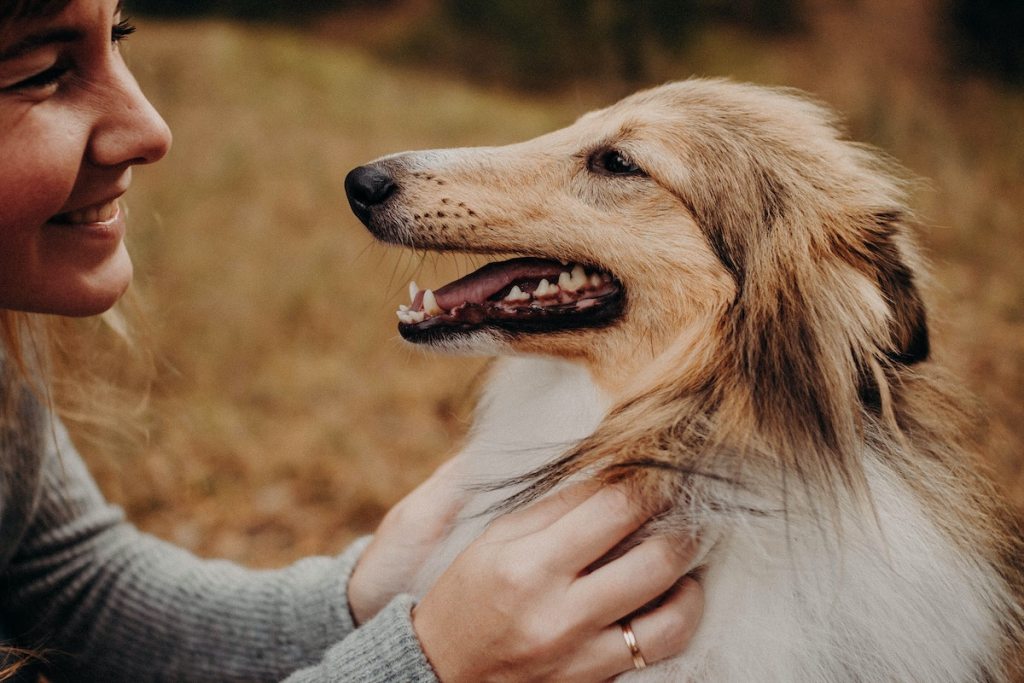 a woman petting a dog in a park with fall foliage