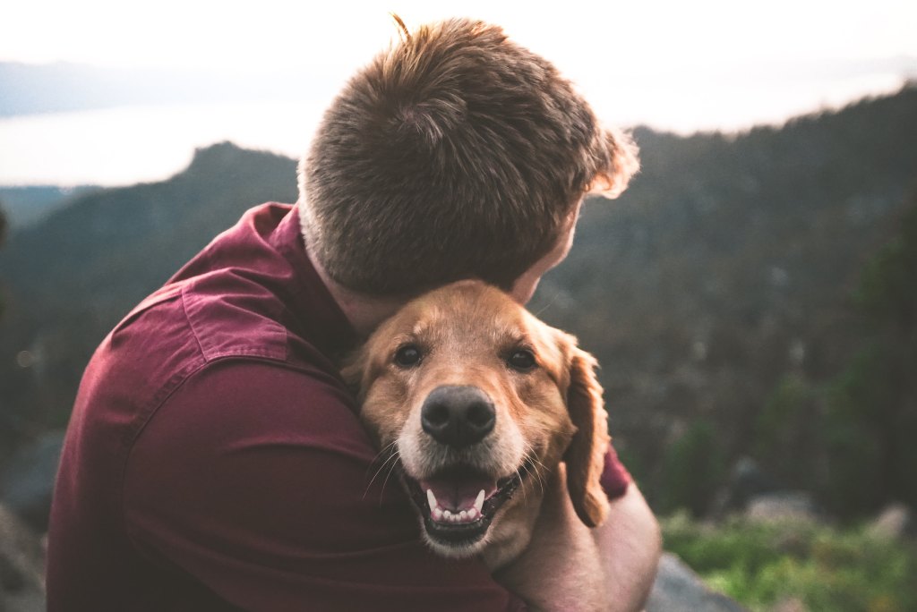 A man hugs a golden retriever, facing away from the camera