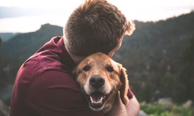 A man hugs a Golden Retriever, facing away from the camera