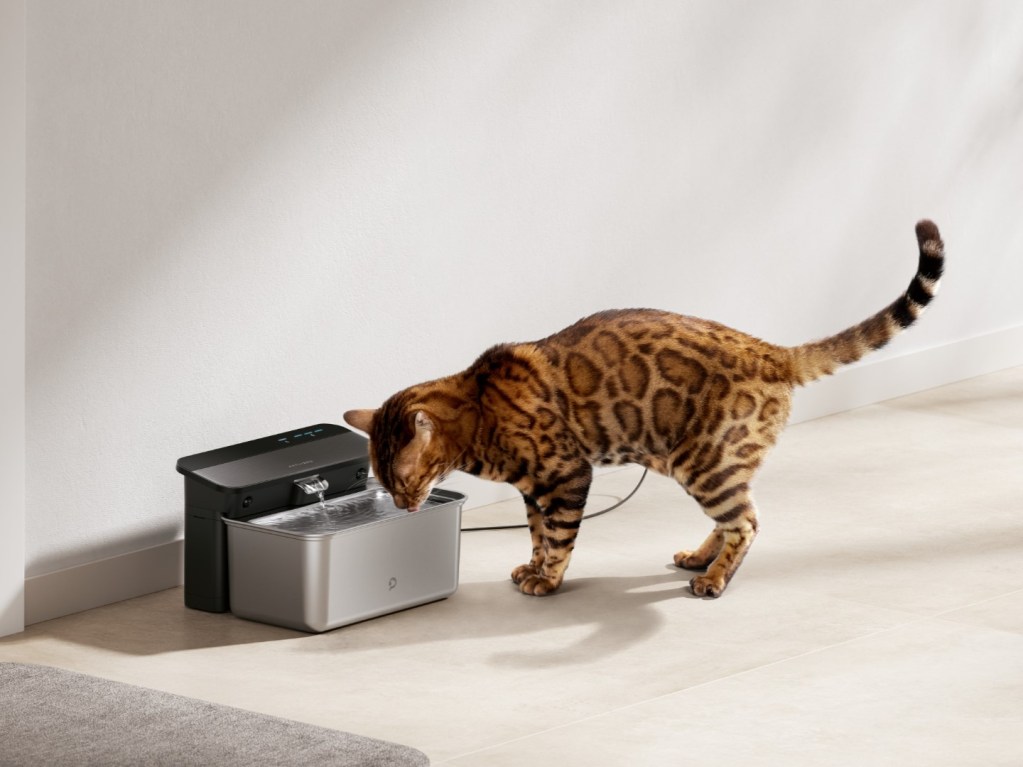 Cat drinking out of PETLIBRO Glacier ultrafiltration fountain on the floor.