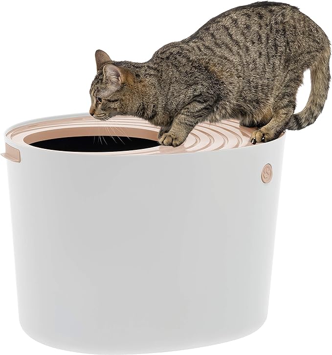 IRIS USA top entry litter box