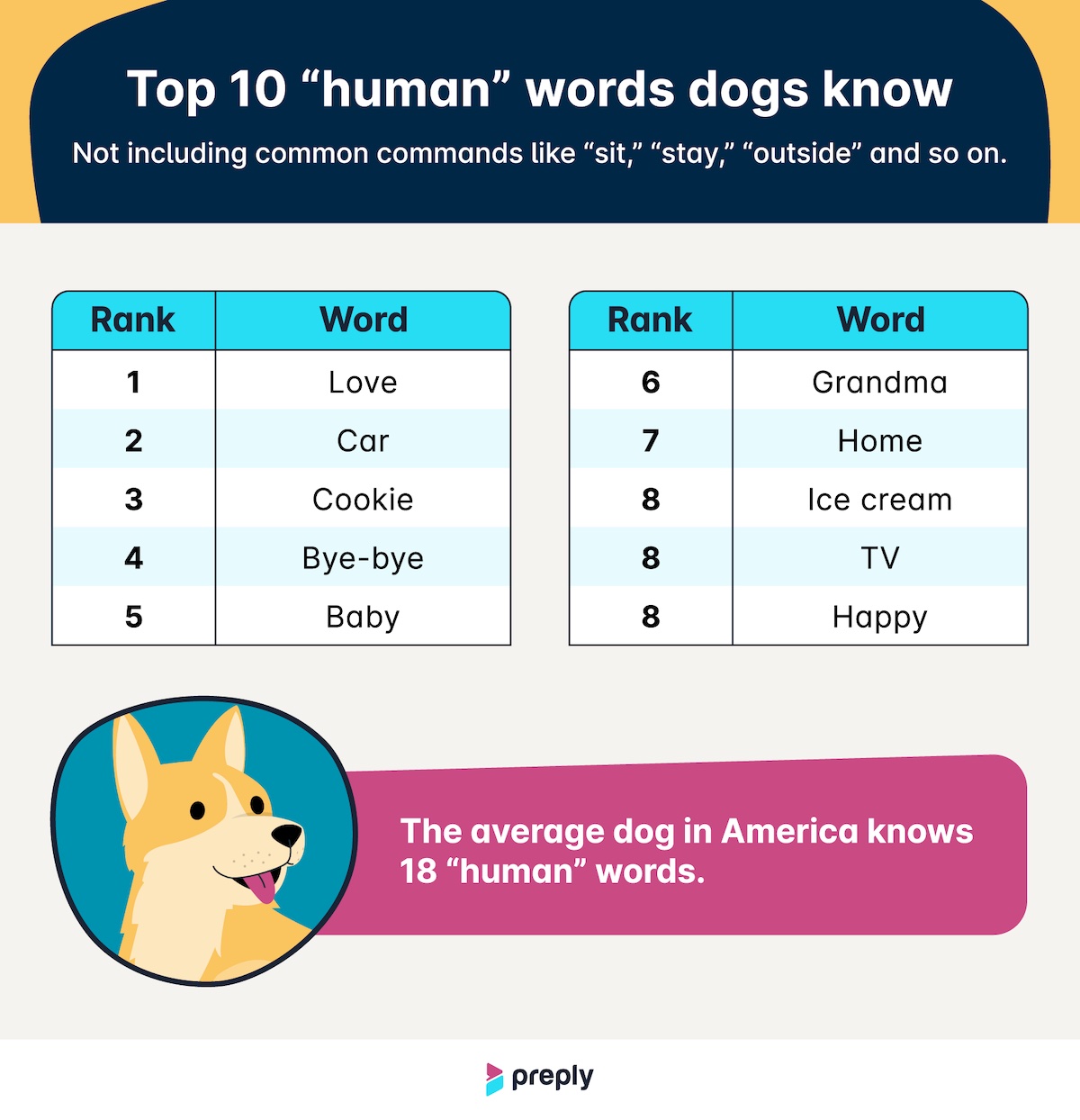 An infographic of human words that dogs know