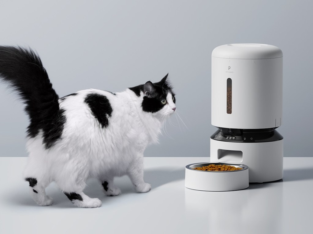 PETLIBRO Granary automatic cat feeder with cat nearby