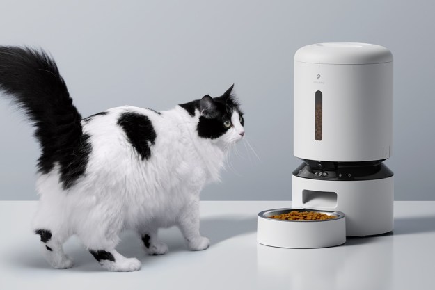 PETLIBRO Granary automatic cat feeder with cat nearby