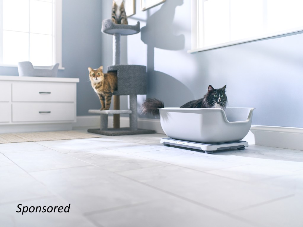 Petivity Smart Litter Box Monitor for multiple cats sponsored