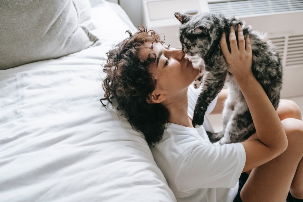 a cat and human cuddling in a bedroom