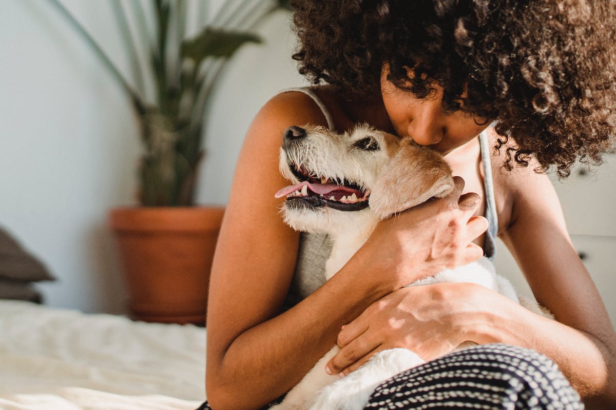 a dog being hugged by a woman in bed