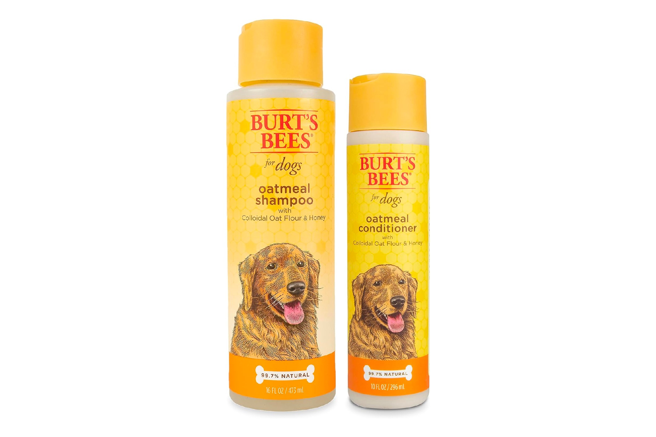 Best Dog Shampoo and Conditioner in 2024 PawTracks