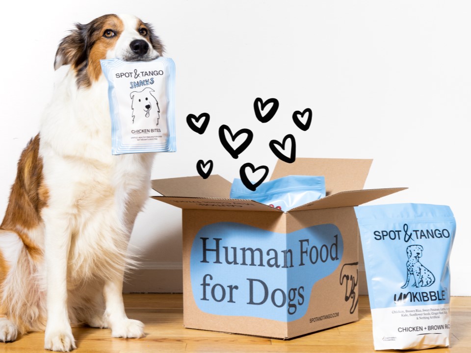 Dog holding Spot & Tango's Fresh food line