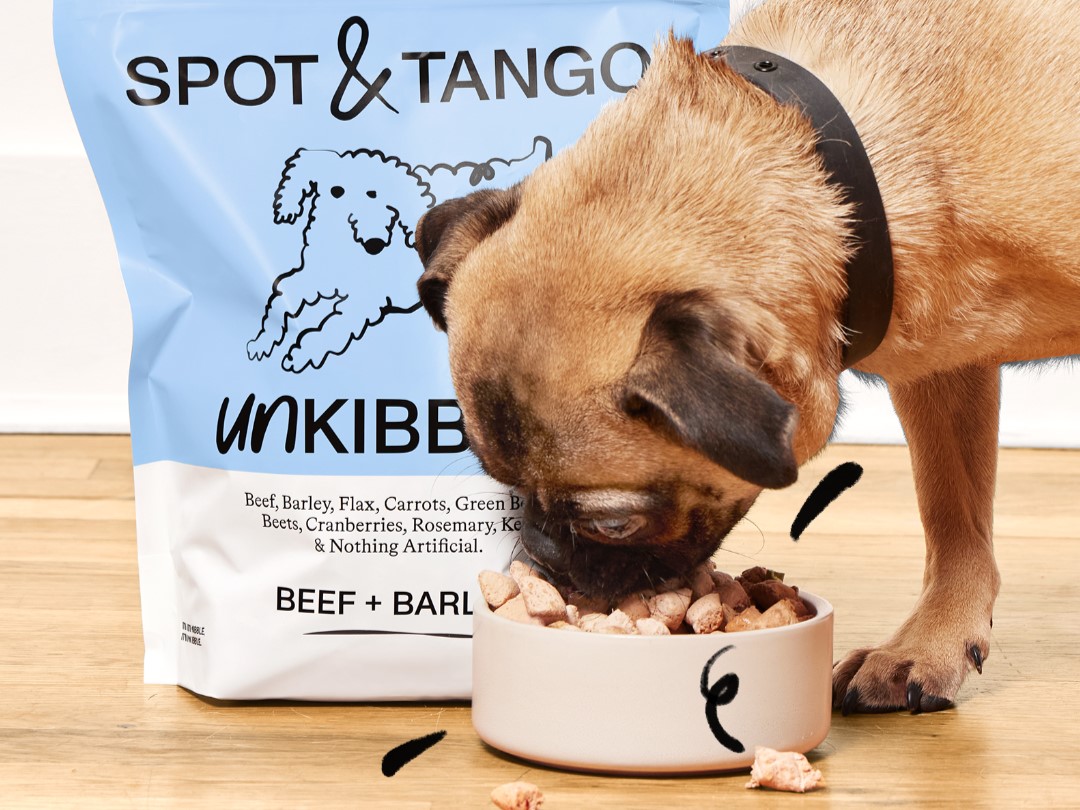 Pup eating Spot & Tango UnKibble food