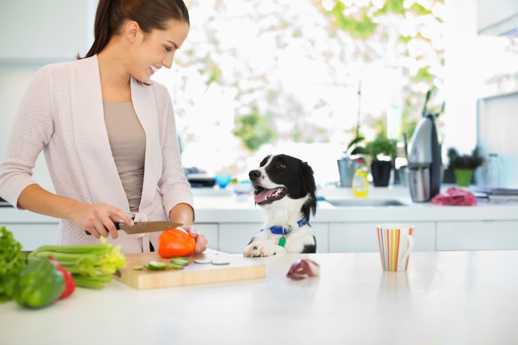 Woman chops up veggies including celery for her dog