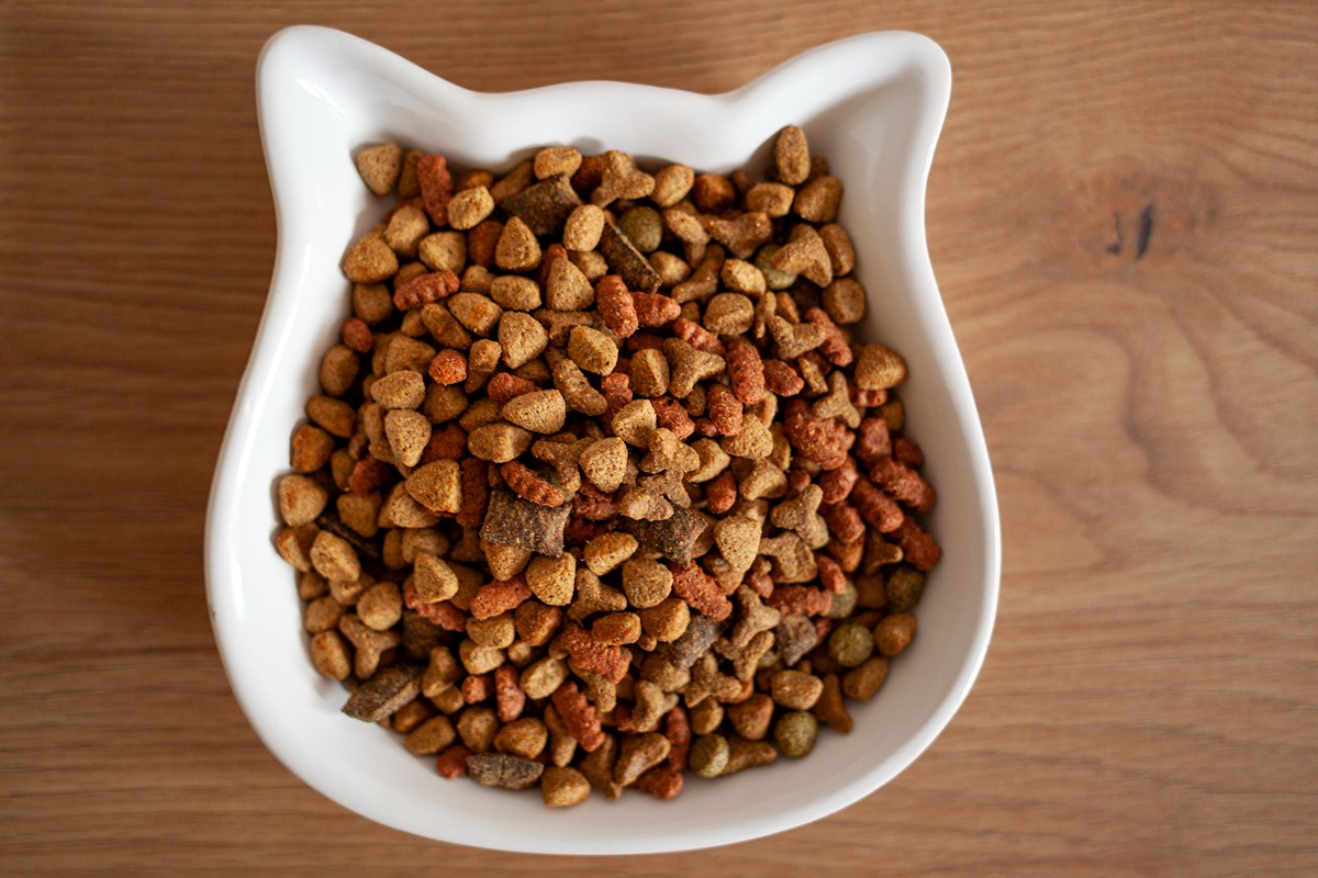 best dry cat food