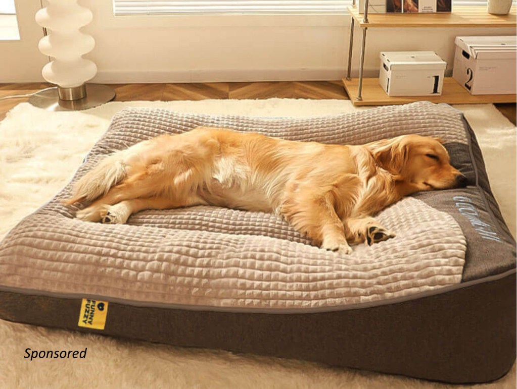 FunnyFuzzy large dog cushion bed with excellent features, and sponsored tag.