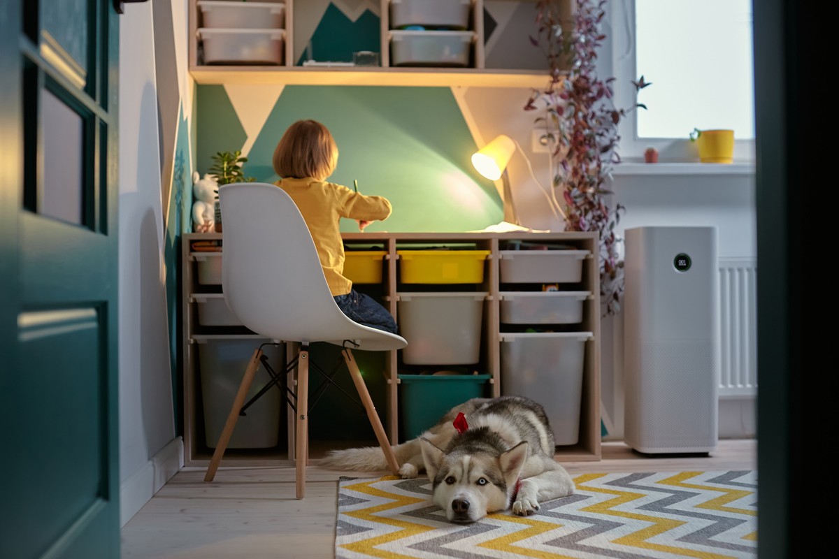 Allergy Child, pet dog and air purifier in children's room