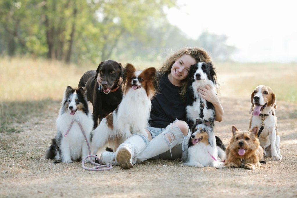 A woman outside sits with a pack of dogs