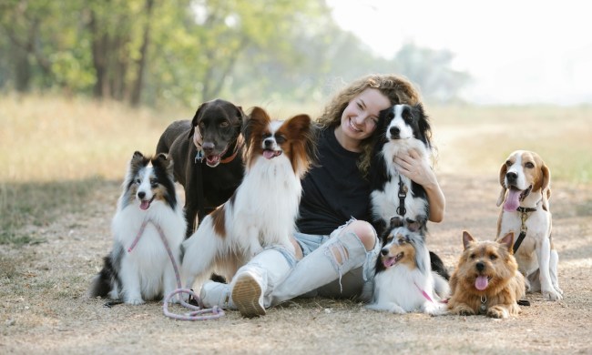 A woman outside sits with a pack of dogs