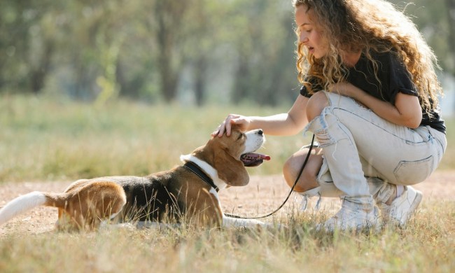 A woman pets her dog in a field