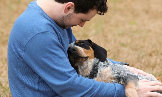 Dog leaning on human in blue sweater