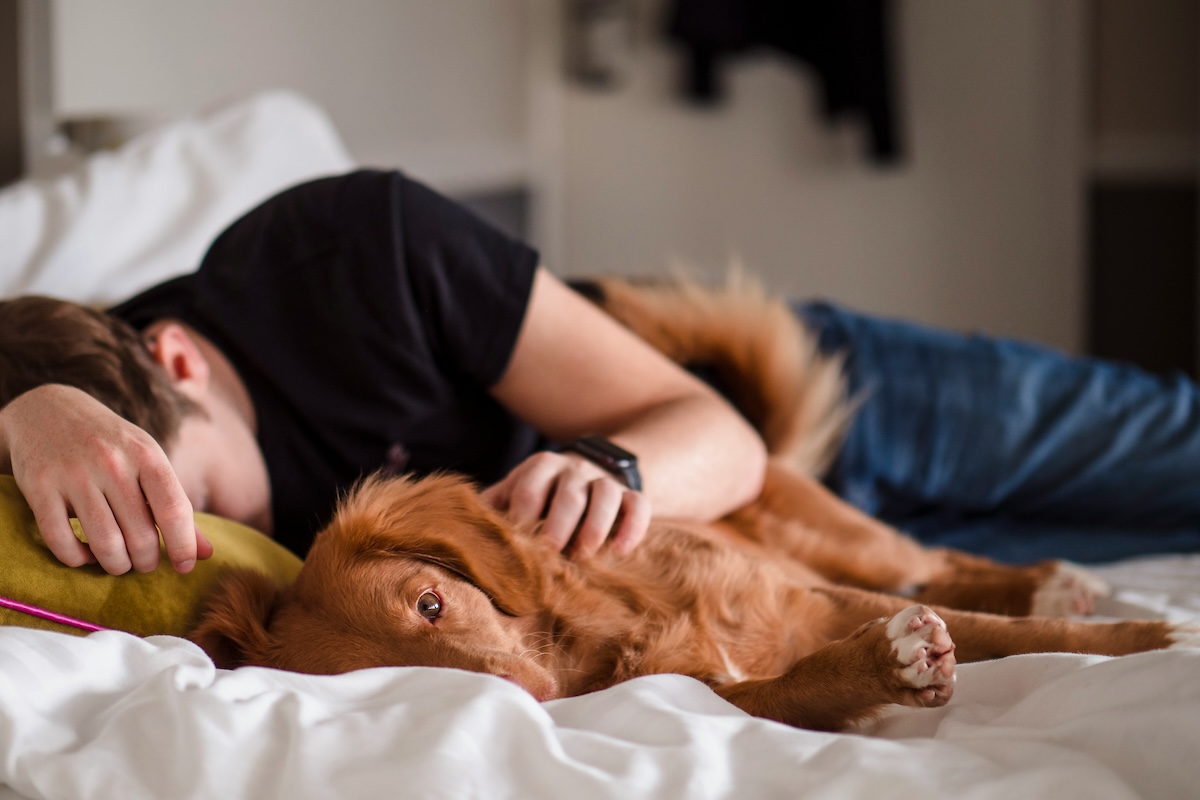 man lying in bed with dog