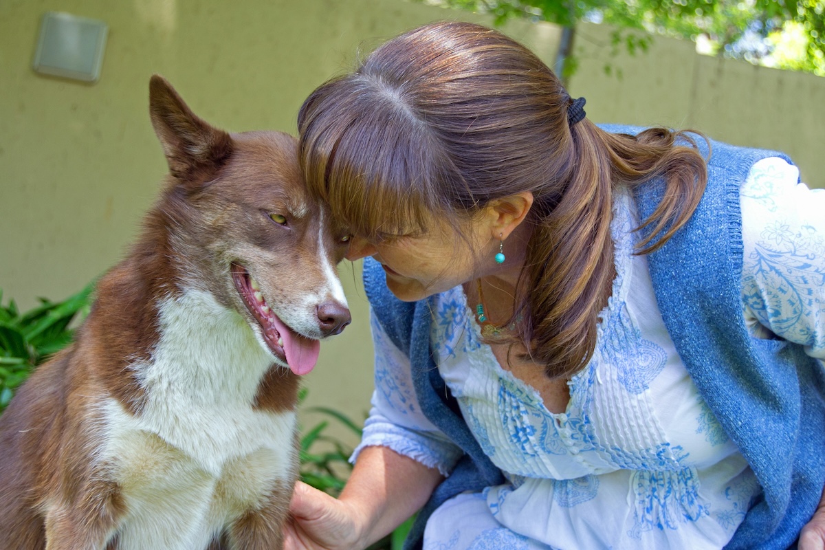 Older dog and woman