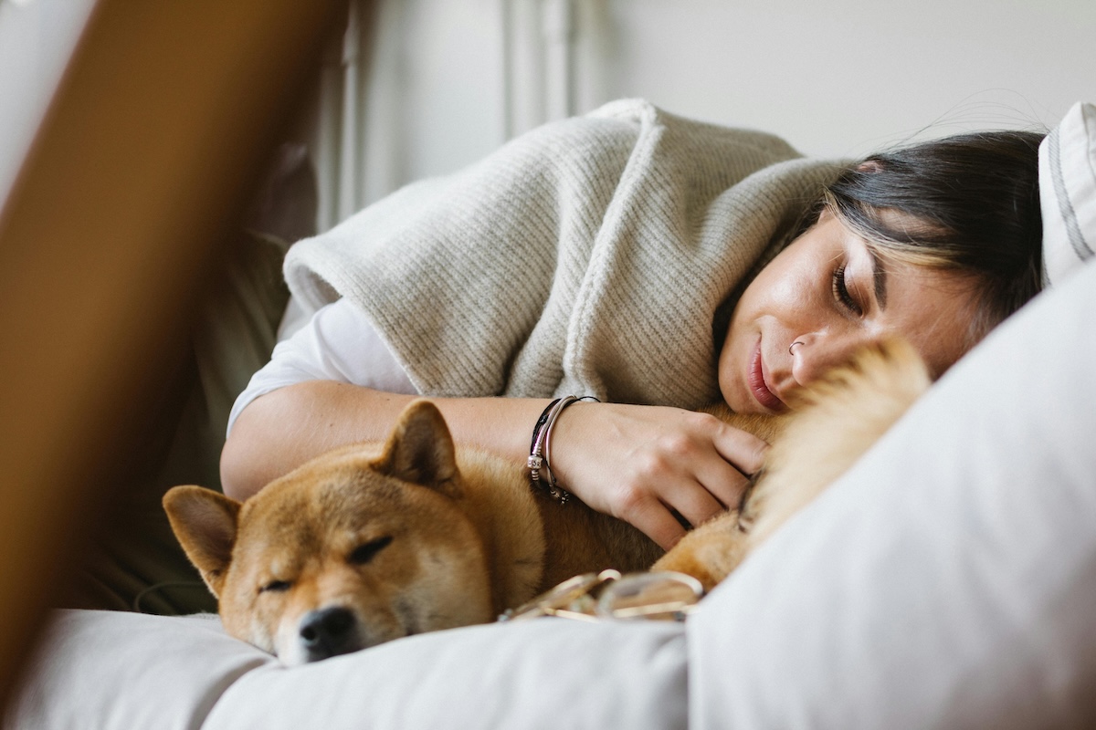 Woman in sweater and dog napping on couch