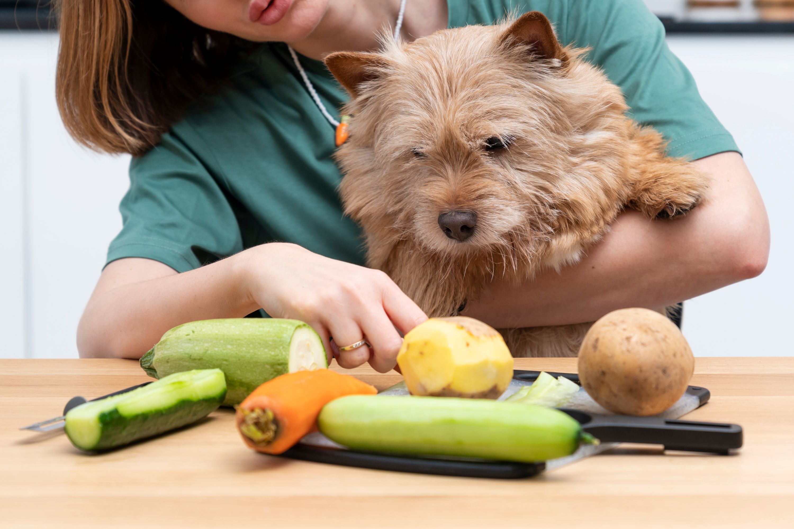 Preparing homemade dog food with veggies