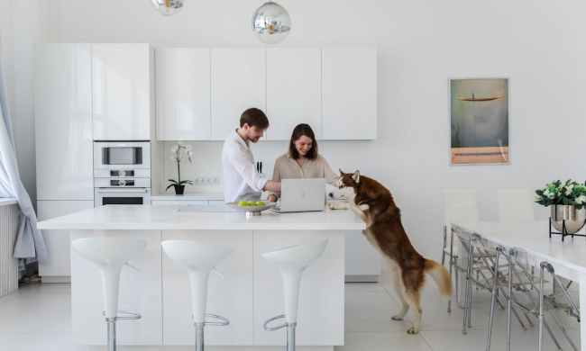 A couple in a whitewashed kitchen looking at a laptop as a husky jumps up
