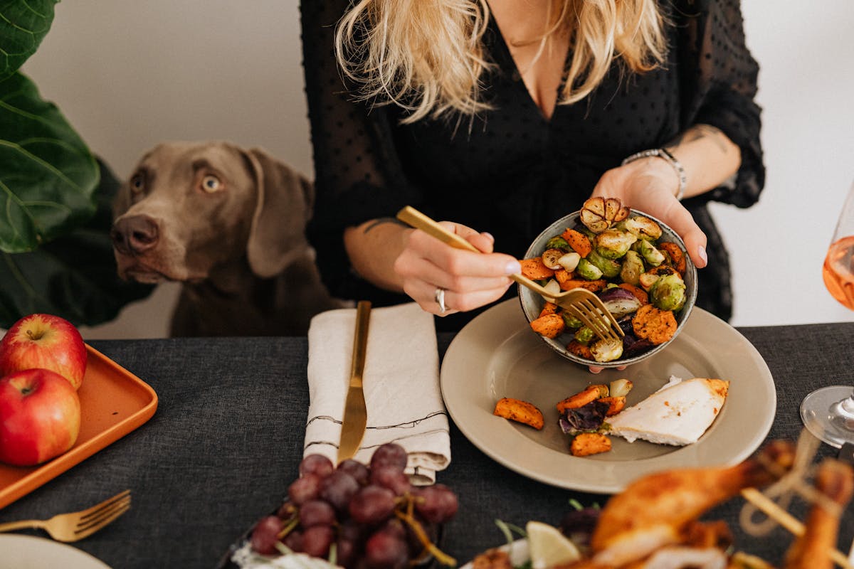 person with a veggie bowl at dining room table and large gray dog sitting nearby