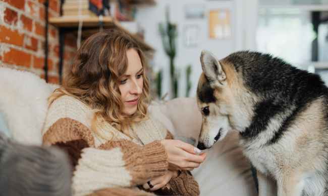 Woman giving her large dog a treat