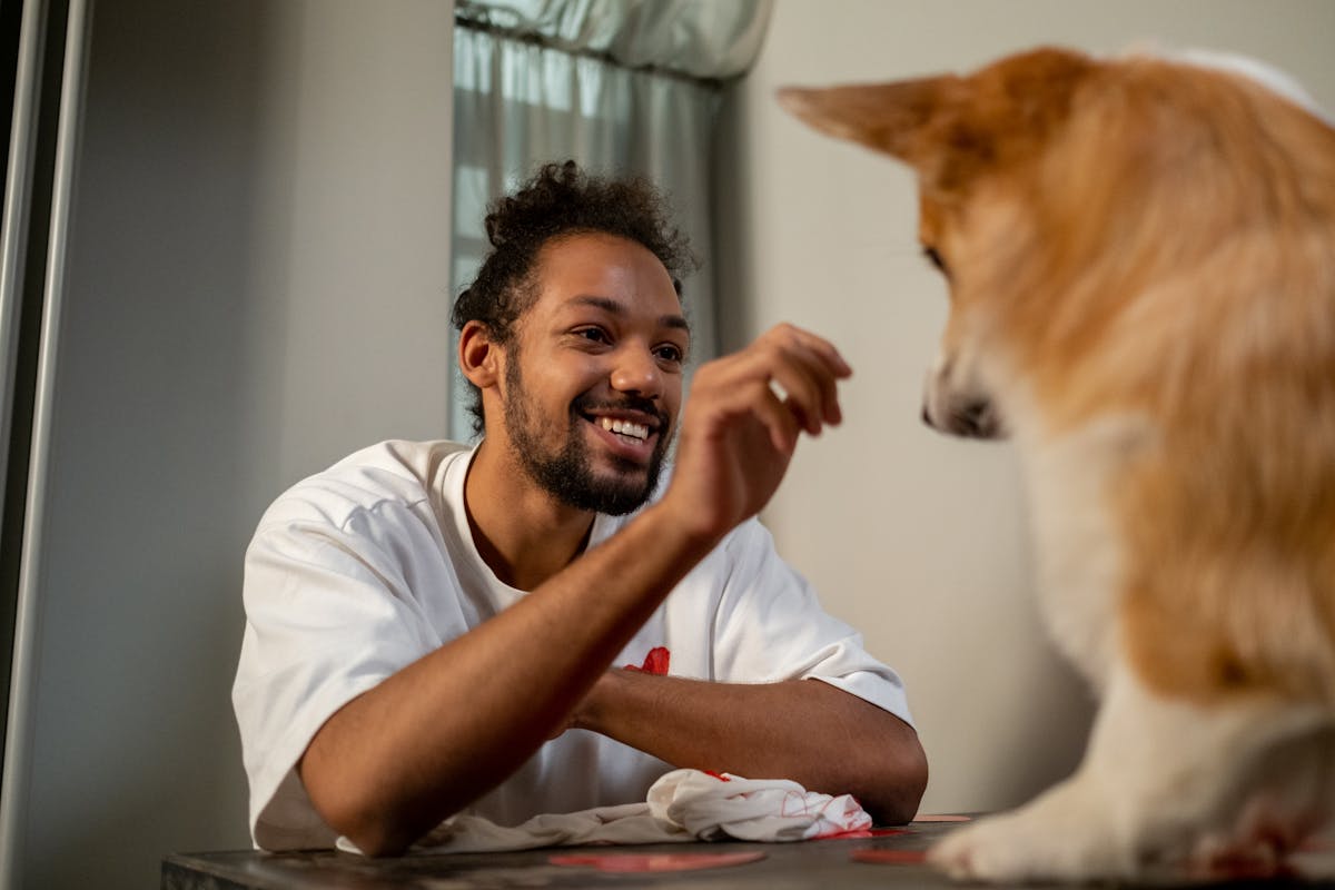 a man giving a dog sitting on a table a treat